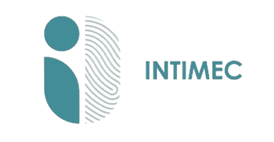 Intimec team working on technology solutions